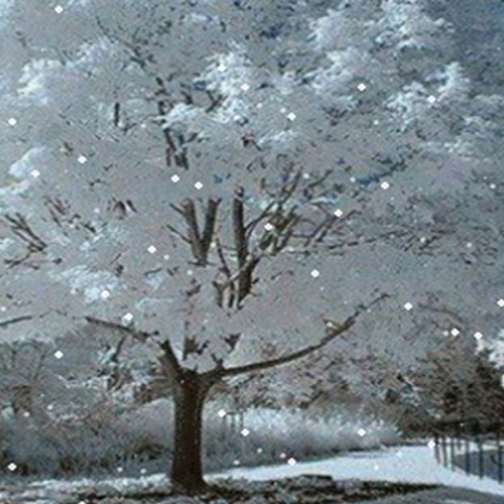 Meet your Posher, Christi